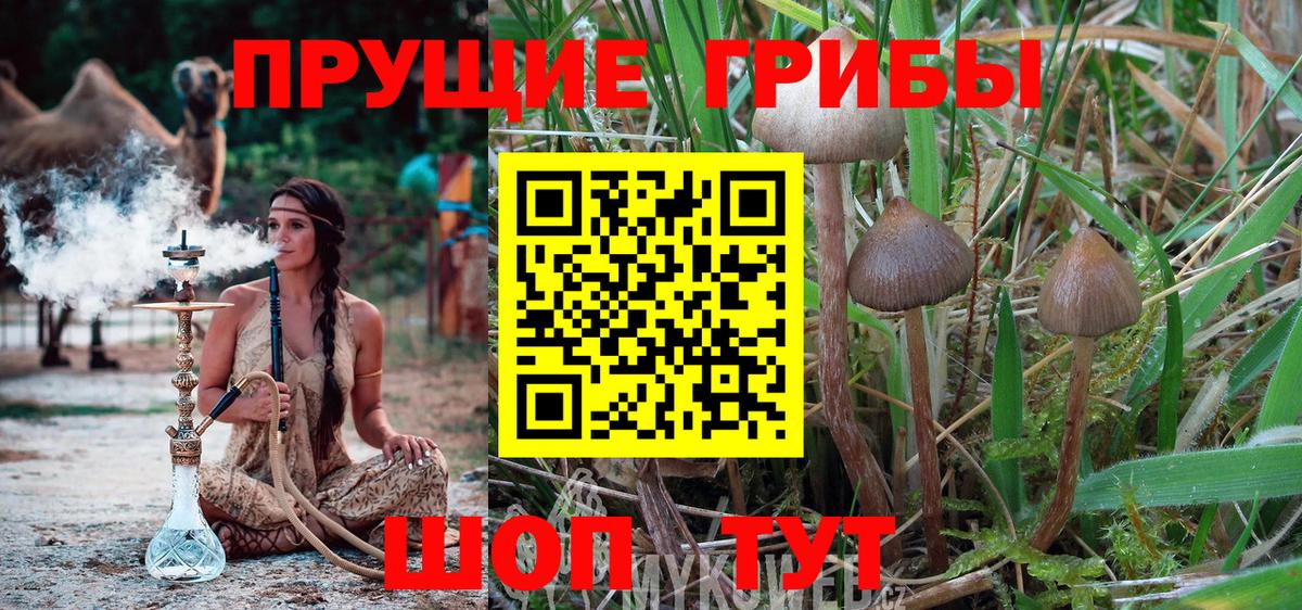 Псилоцибиновые грибы прущие грибы  Псилоцибиновые грибы Magic Shrooms  Вход с VPN  купить  сайты  Ирбит 